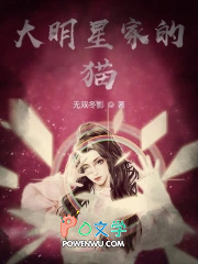 大明星家的猫
