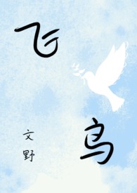 【文豪野犬】飞鸟