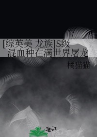 [综英美+龙族同人] S级混血种在满世界屠龙