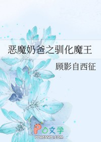 [宠物小精灵同人] 治愈系
