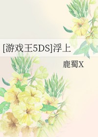 [游戏王5DS] 浮上